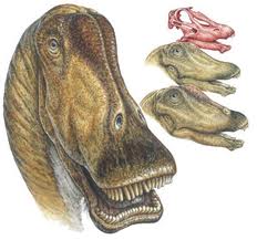 Exemple de dinosaure